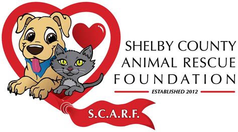 Discover the Heartwarming Mission of Animal Rescue Foundation Theodore AL | Saving Lives One Paw at a Time